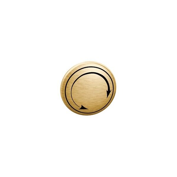 Finished Diverter Handle Cap Kit in Brushed Gold